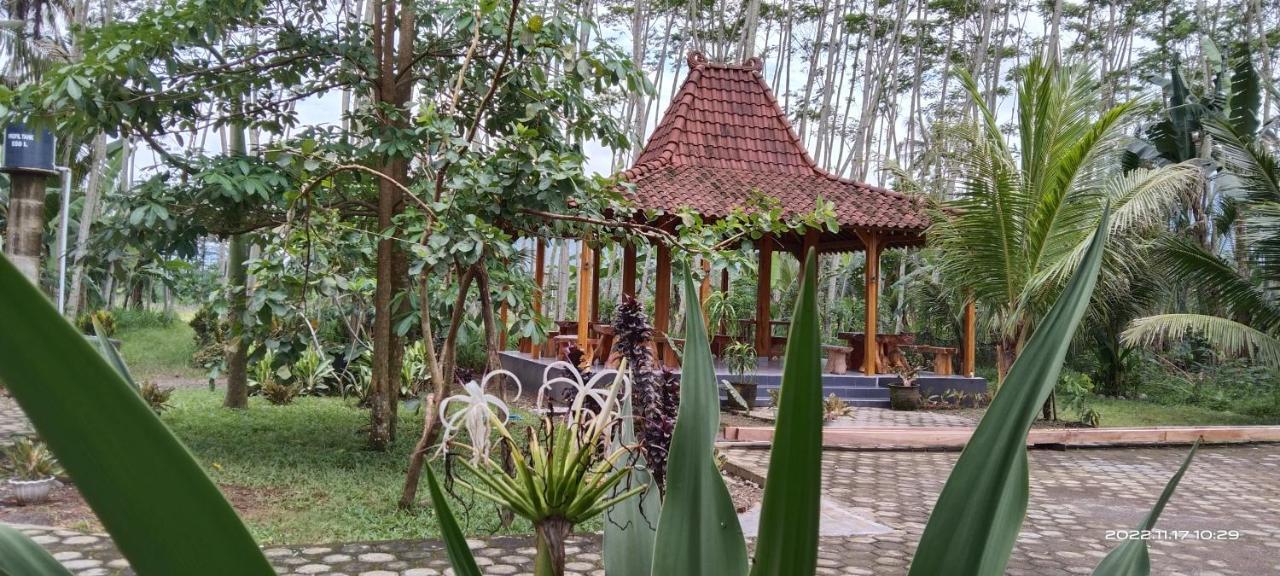 Adventure Turtle Homestay Meru Betiri Sarungan Exterior photo