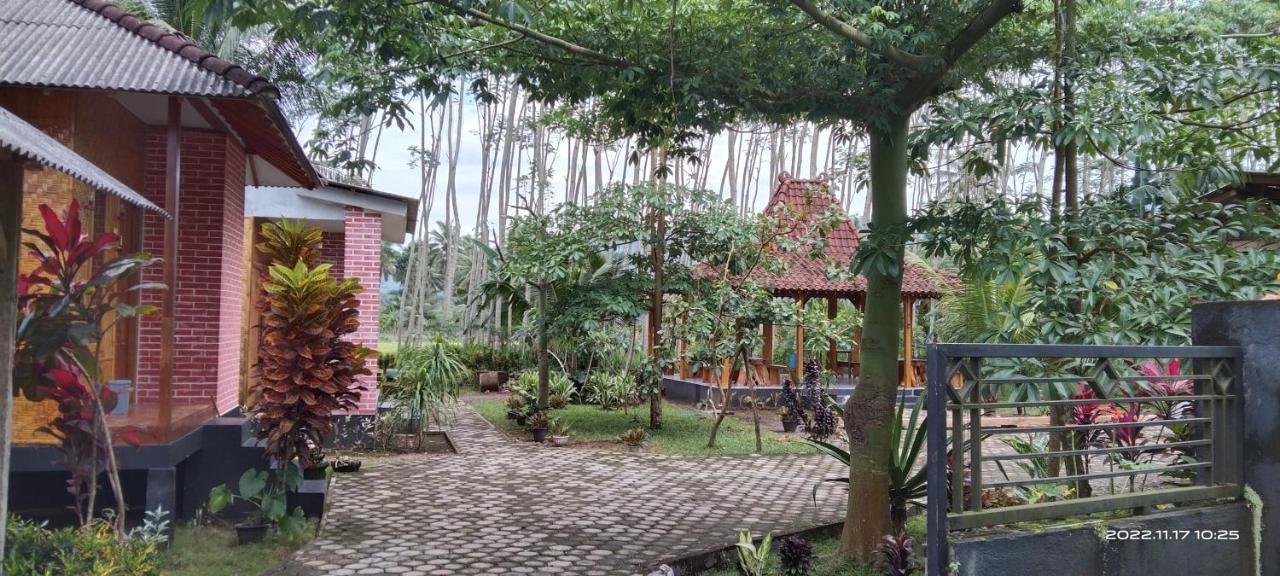 Adventure Turtle Homestay Meru Betiri Sarungan Exterior photo