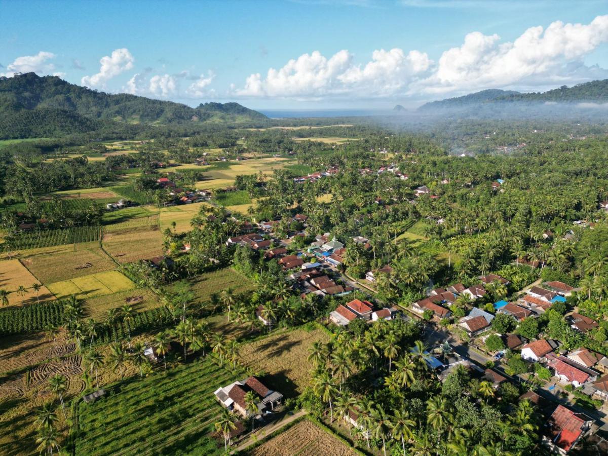 Adventure Turtle Homestay Meru Betiri Sarungan Exterior photo