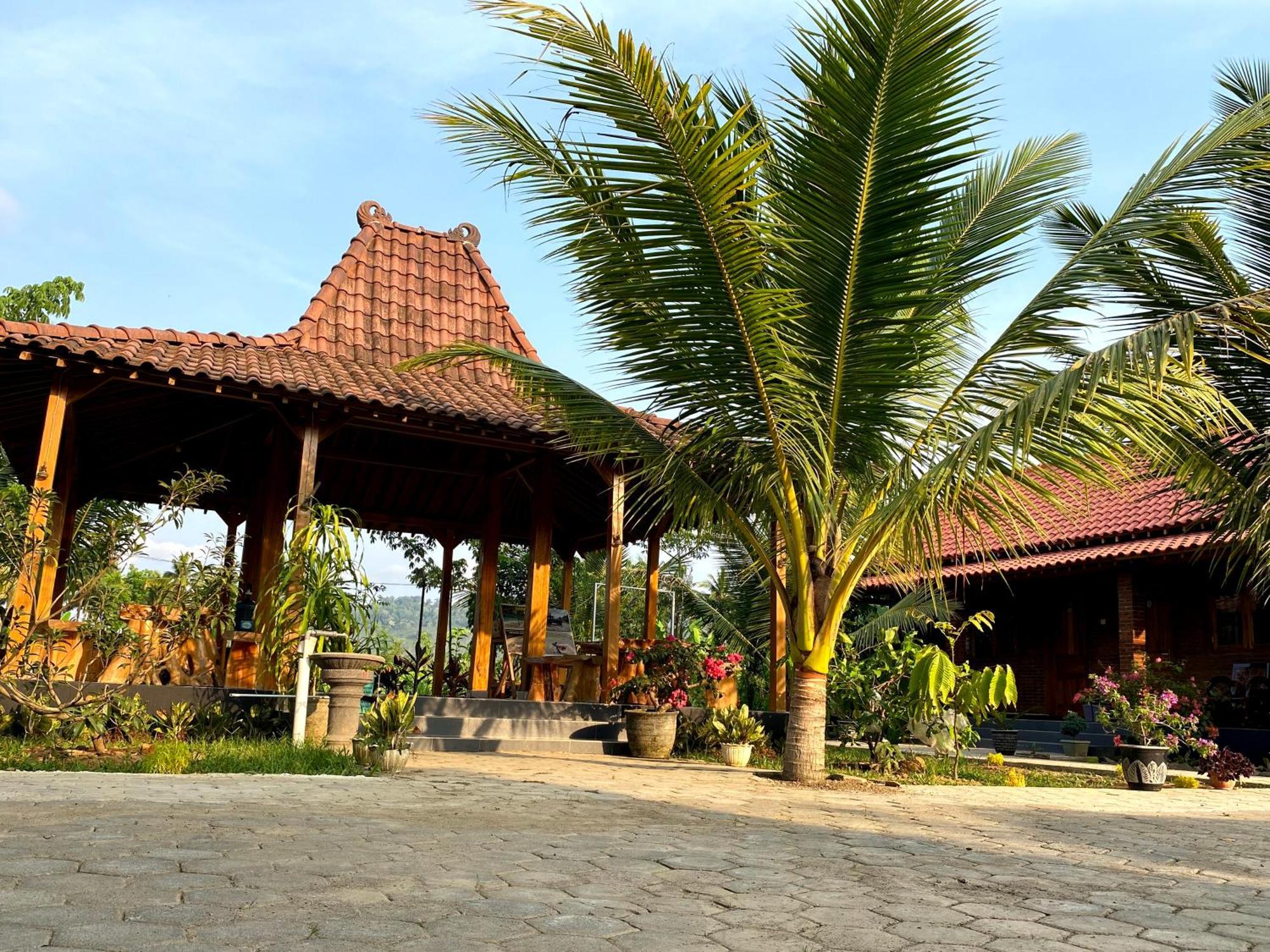 Adventure Turtle Homestay Meru Betiri Sarungan Exterior photo